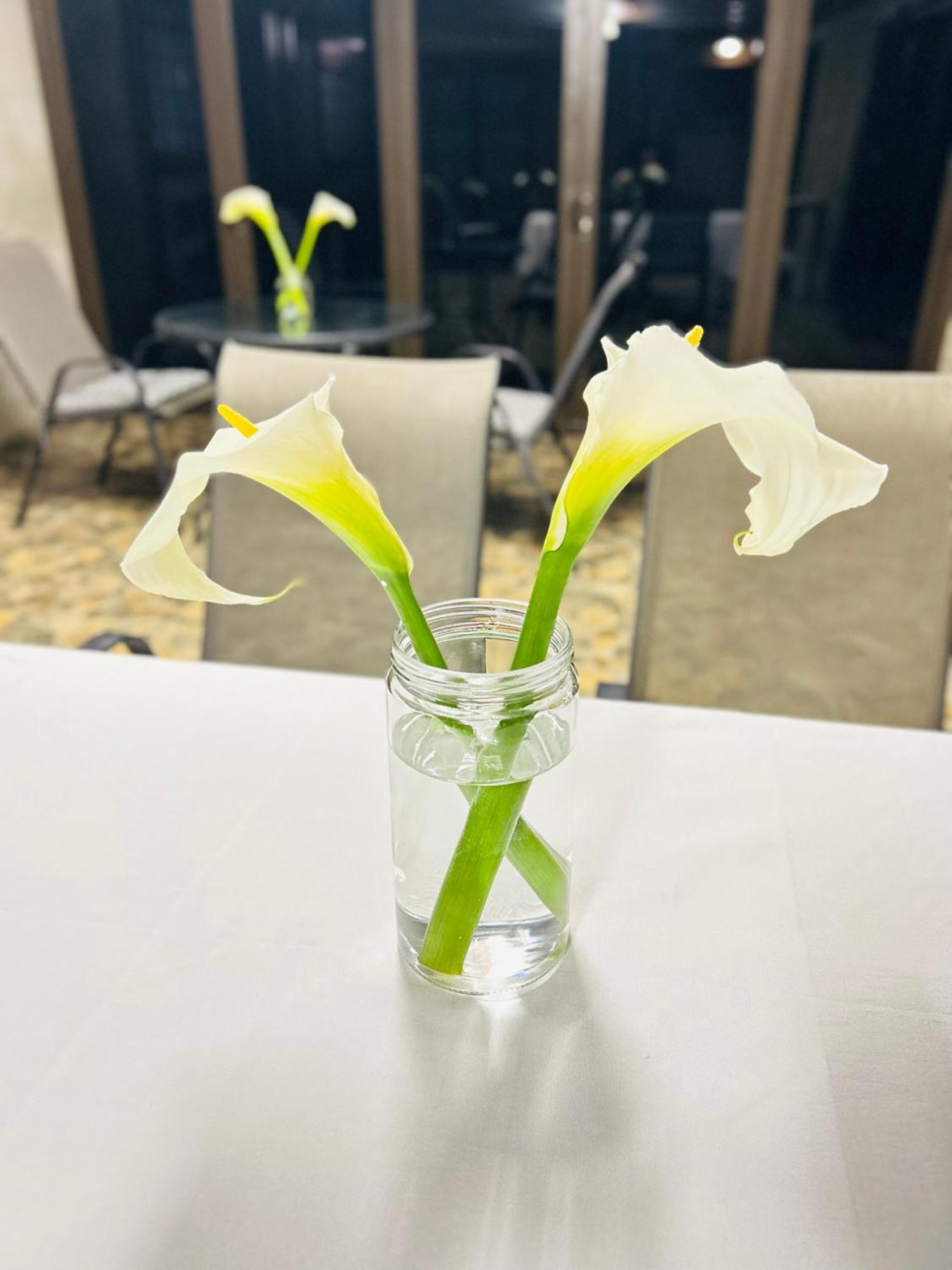 Duvha Guesthouse Graskop Dış mekan fotoğraf